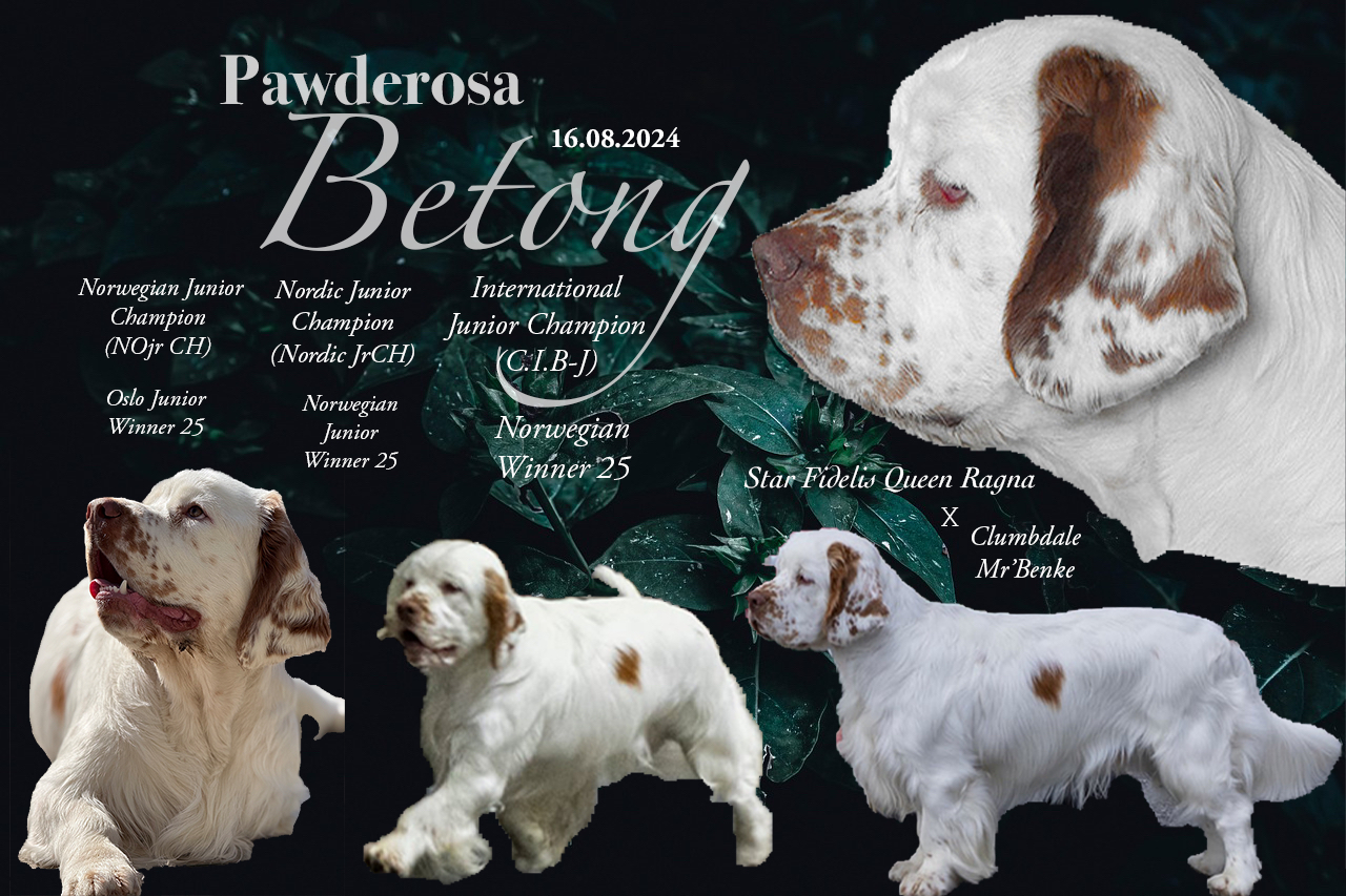 Pawderosa Betong