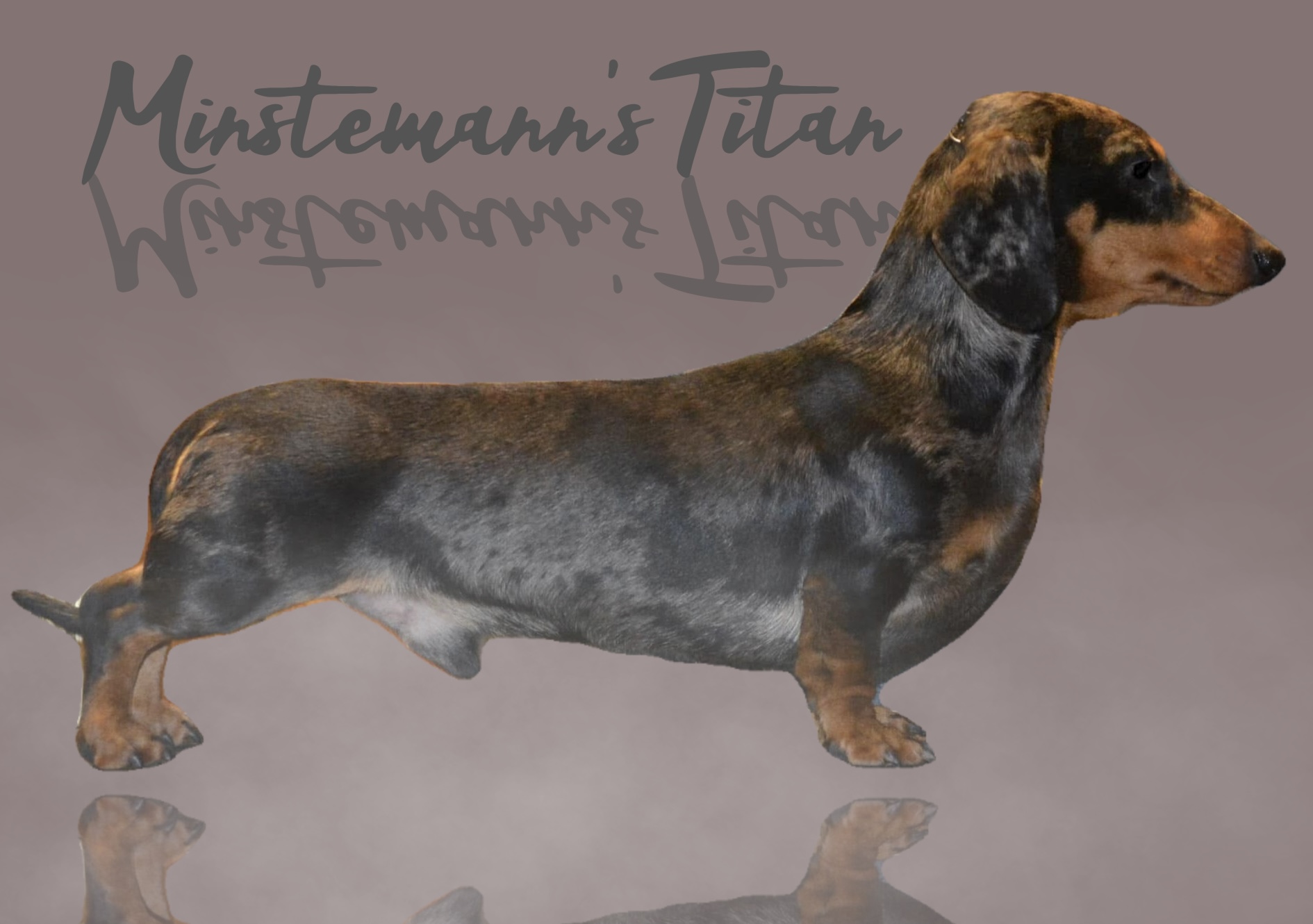 Minstemann’s Titan