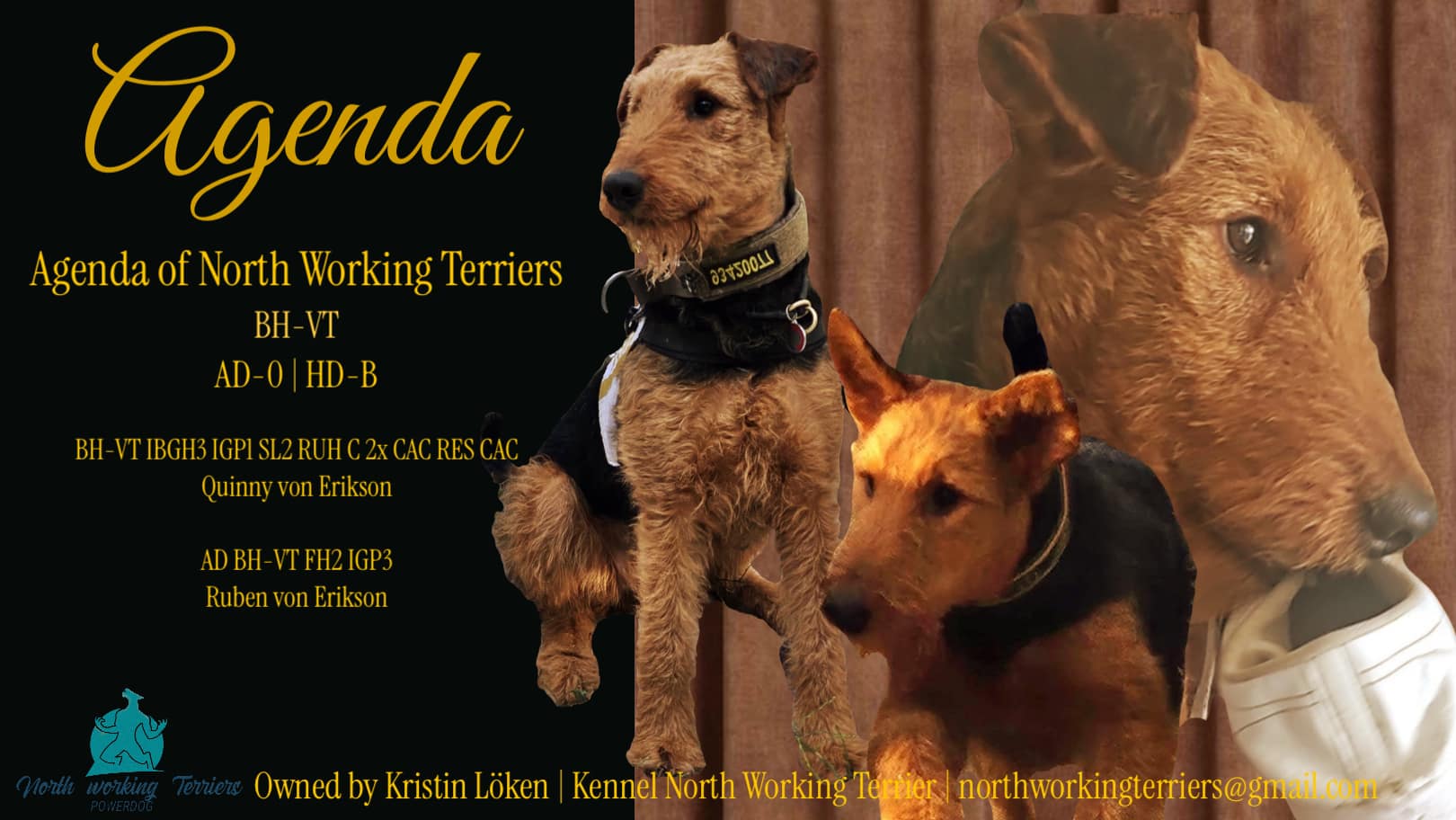 BH-VT Agenda of North working Terriers