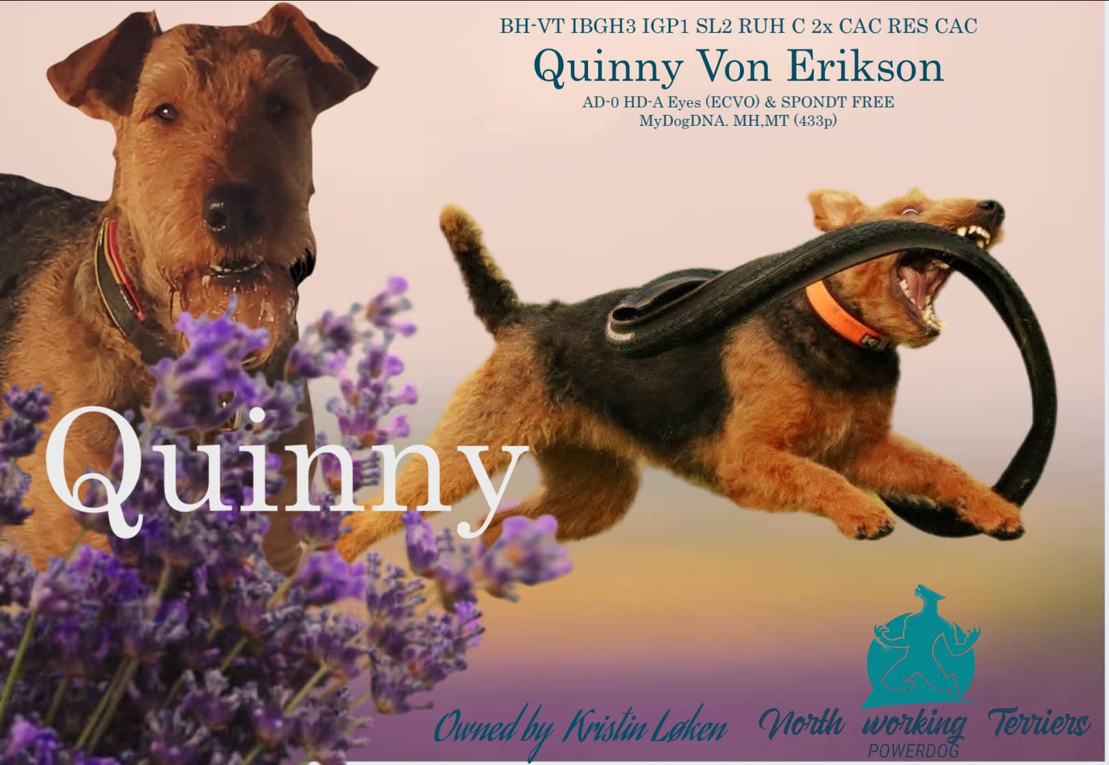 BH-VT IBGH3 IGP1 SL2 RuH C Quinny von Erikson