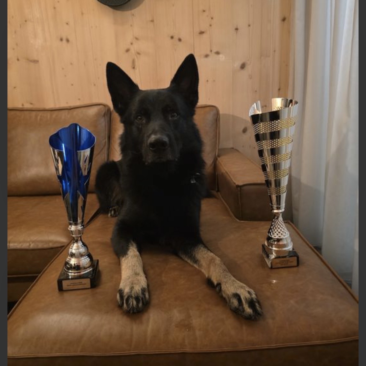 Baco von der Sigisliebe
