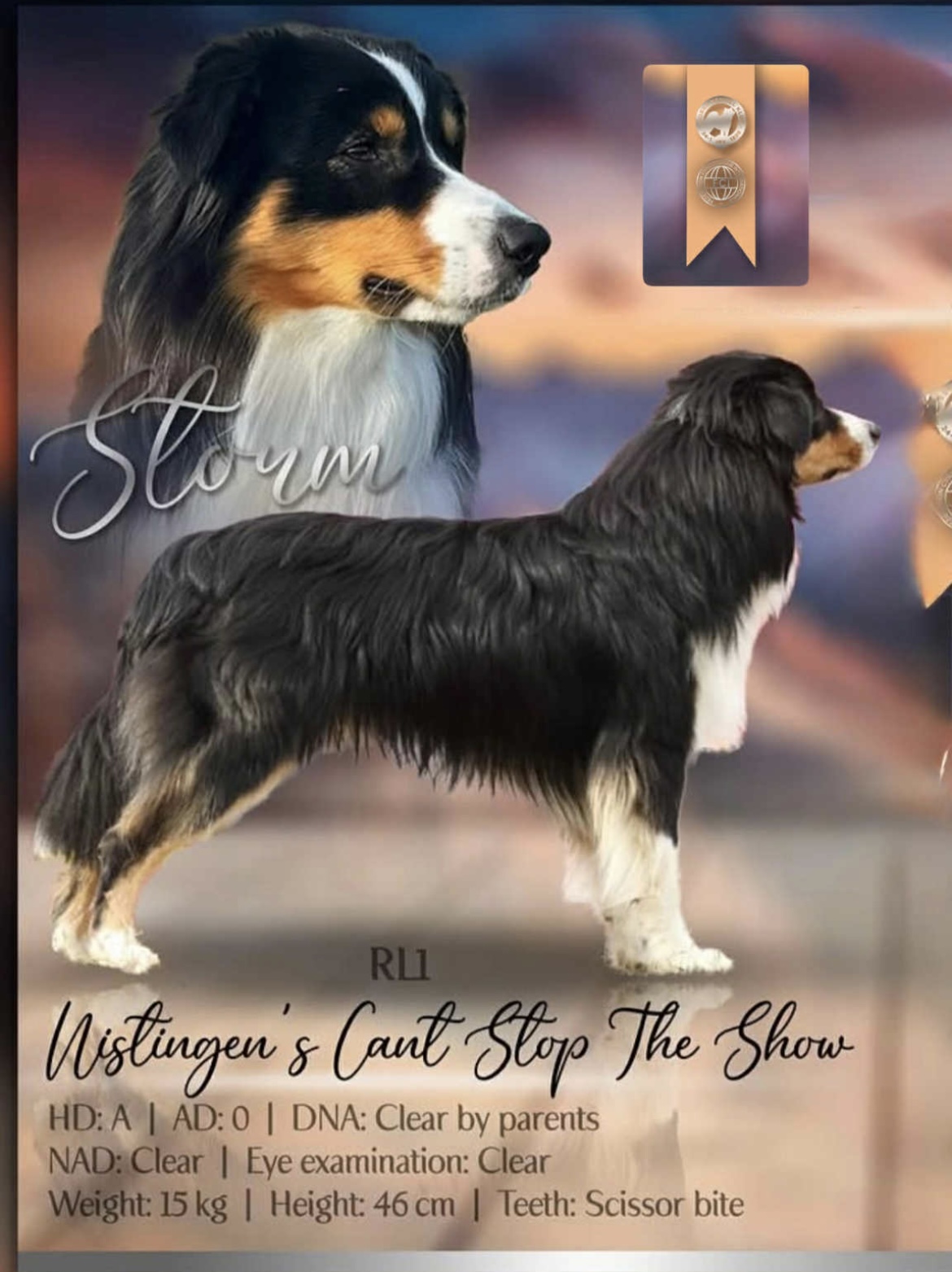 Nistingen’s Cant Stop the Show