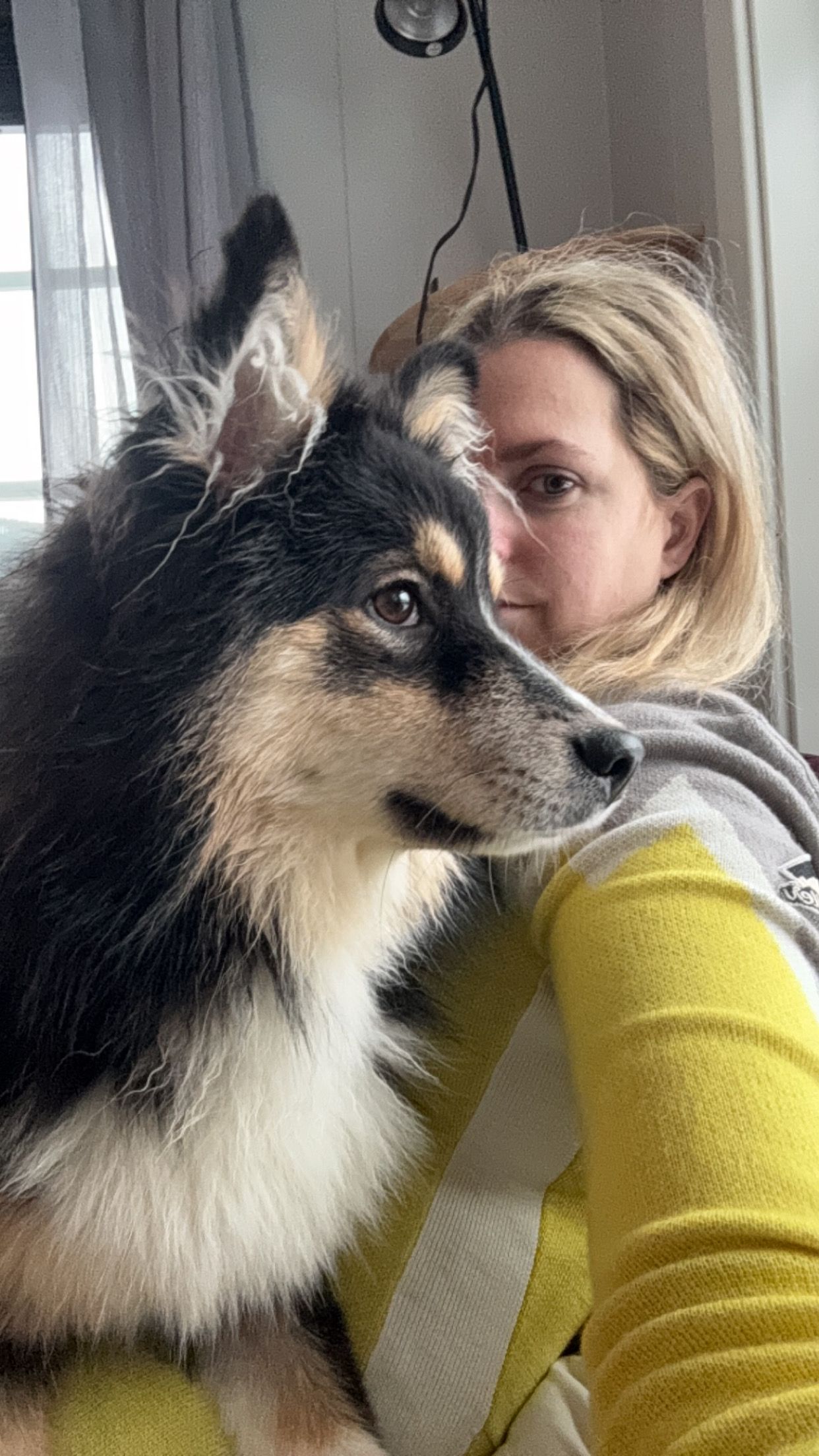 Saglappens Kennel
