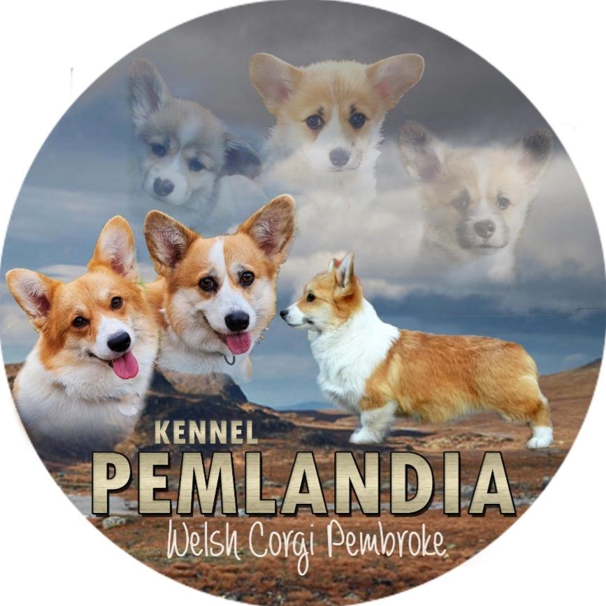 Pemlandia
