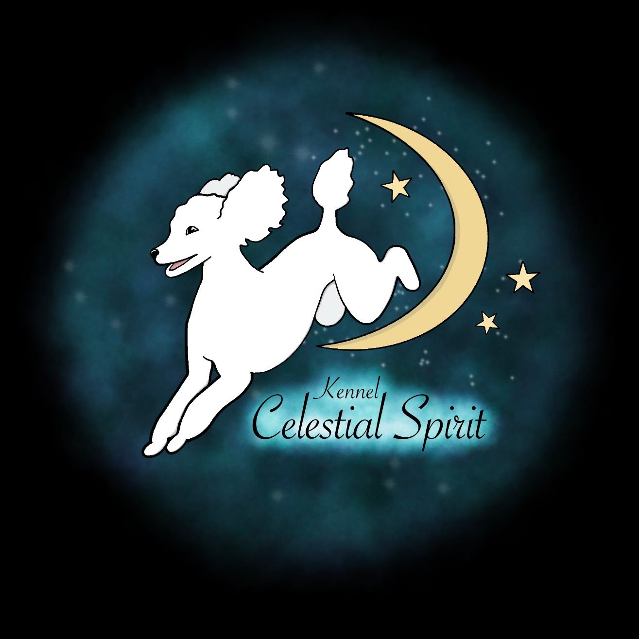  Celestial Spirit