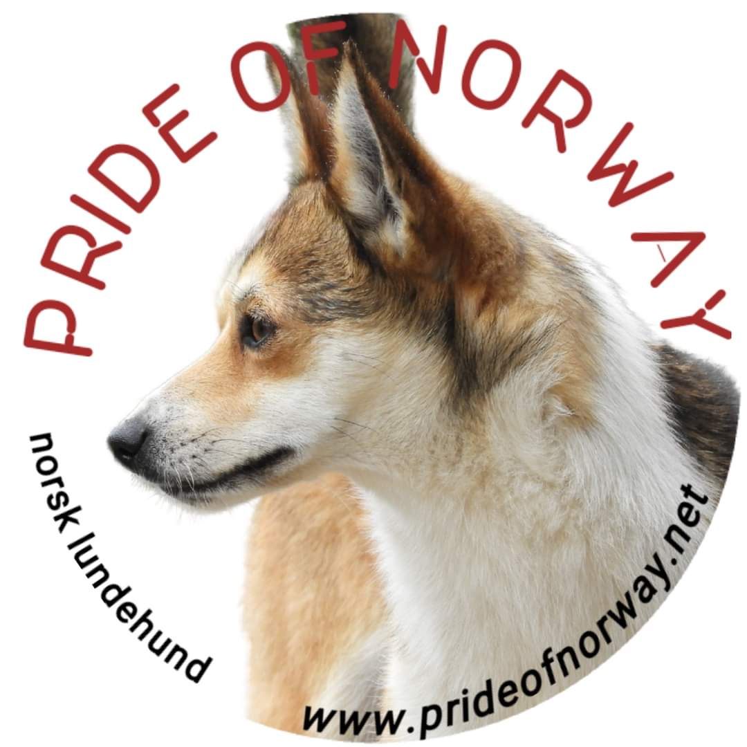Pride Of Norway 