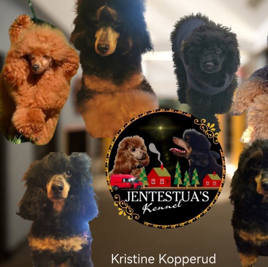 Jentestua's Kennel