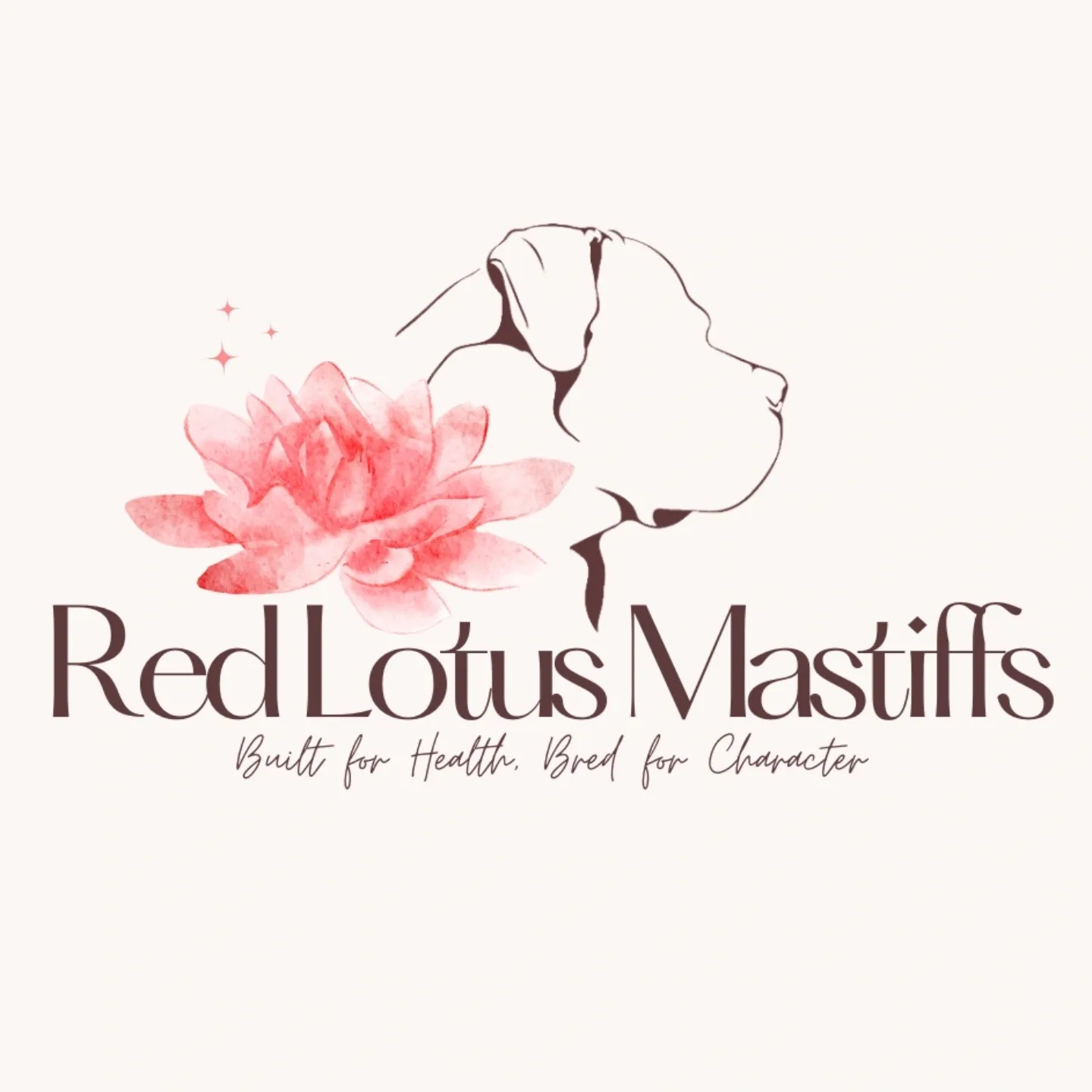 Red Lotus Mastiffs
