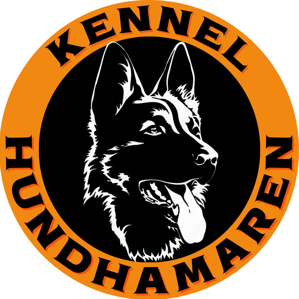 Hundhamaren
