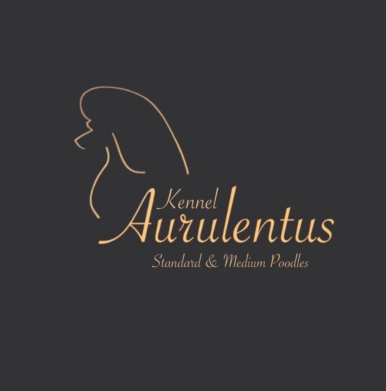 Aurulentus