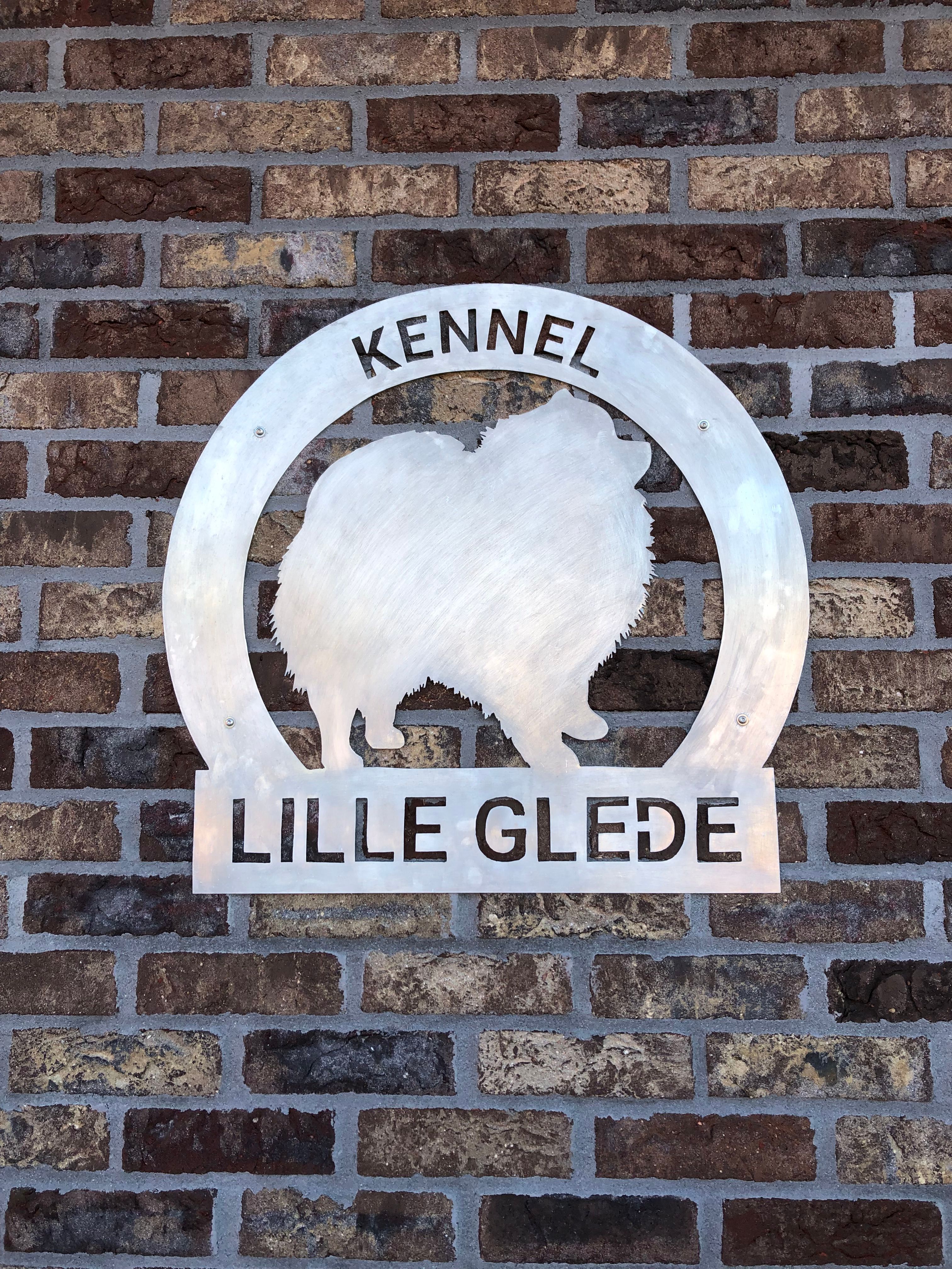 Lille Glede