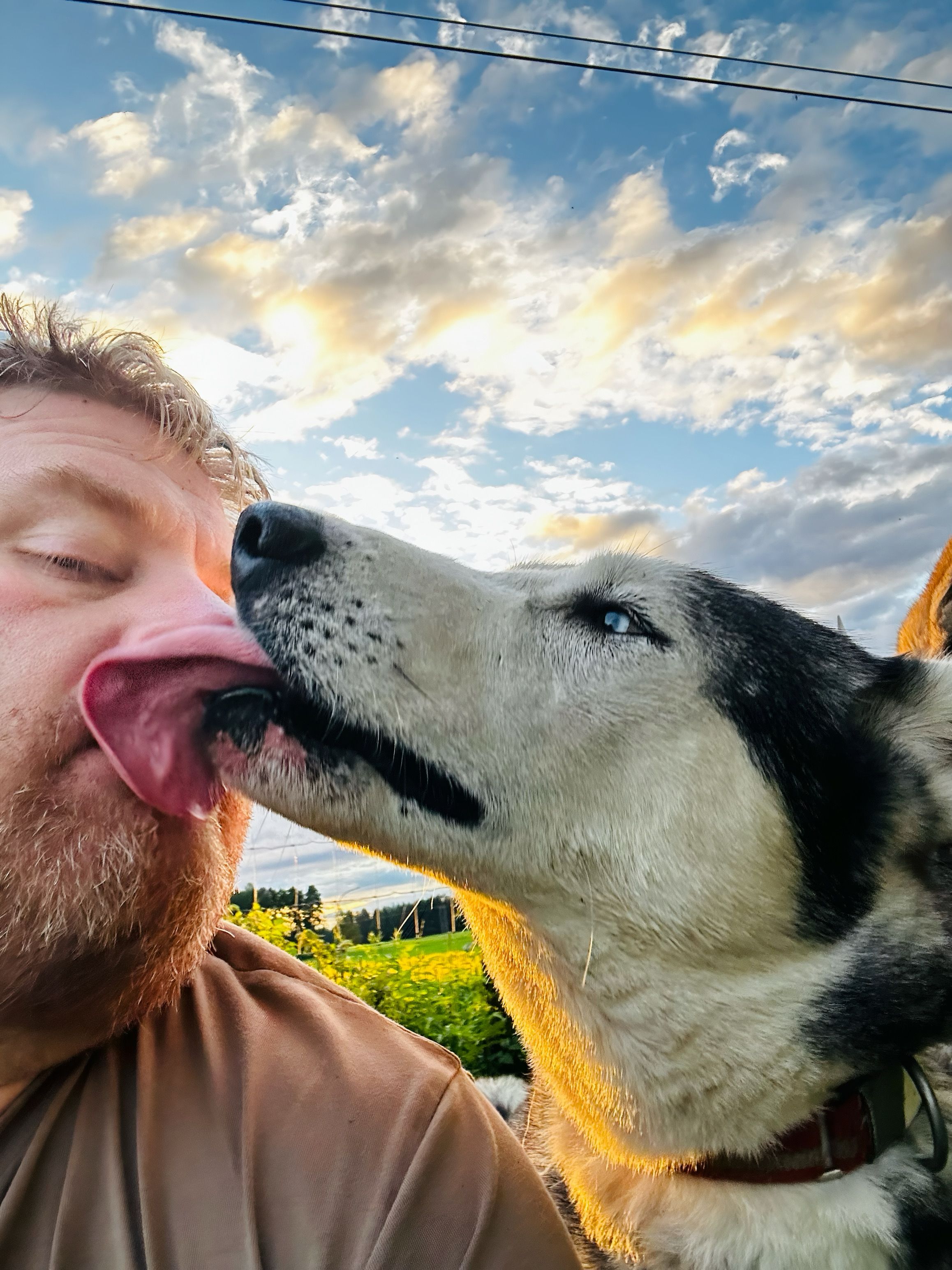 Team Lord&Lady Siberian Husky 