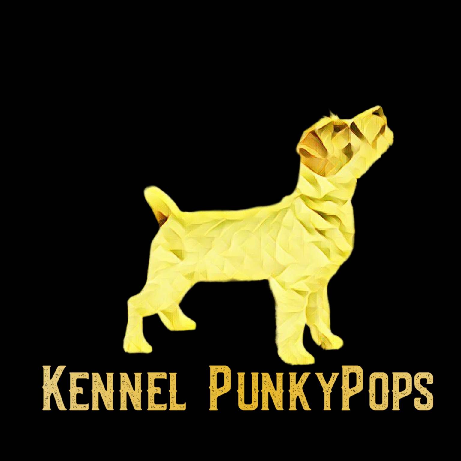 PunkyPops