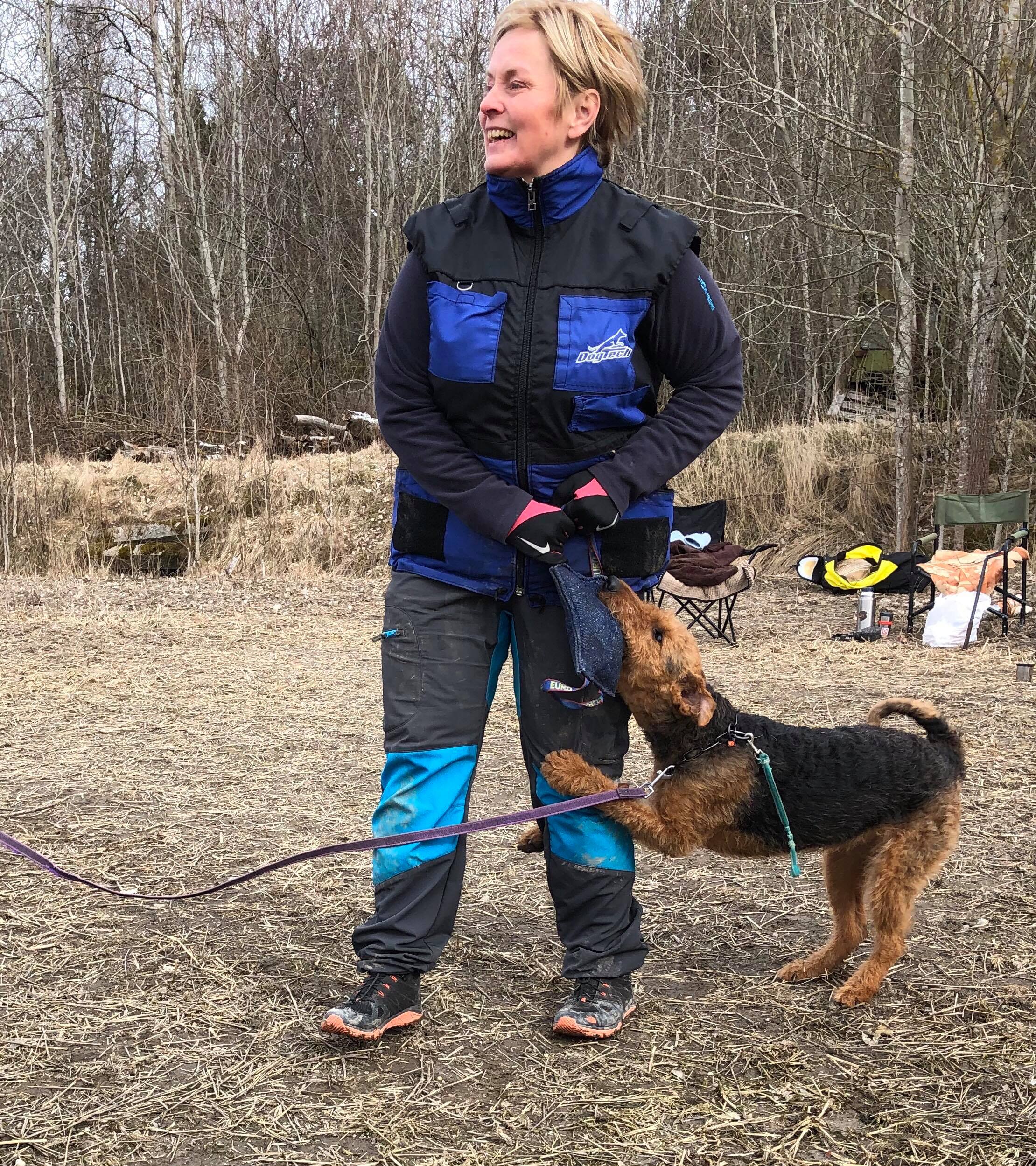 North working Terriers