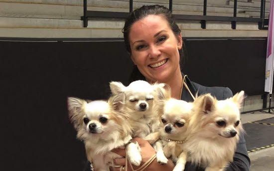 Koru Chihuahuas