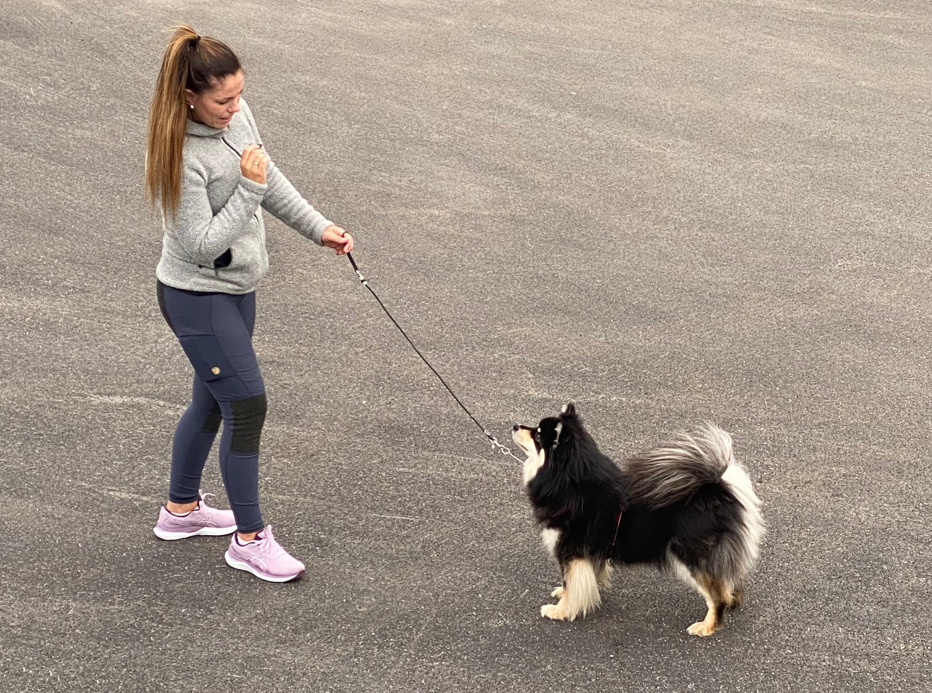 Spor i Nord