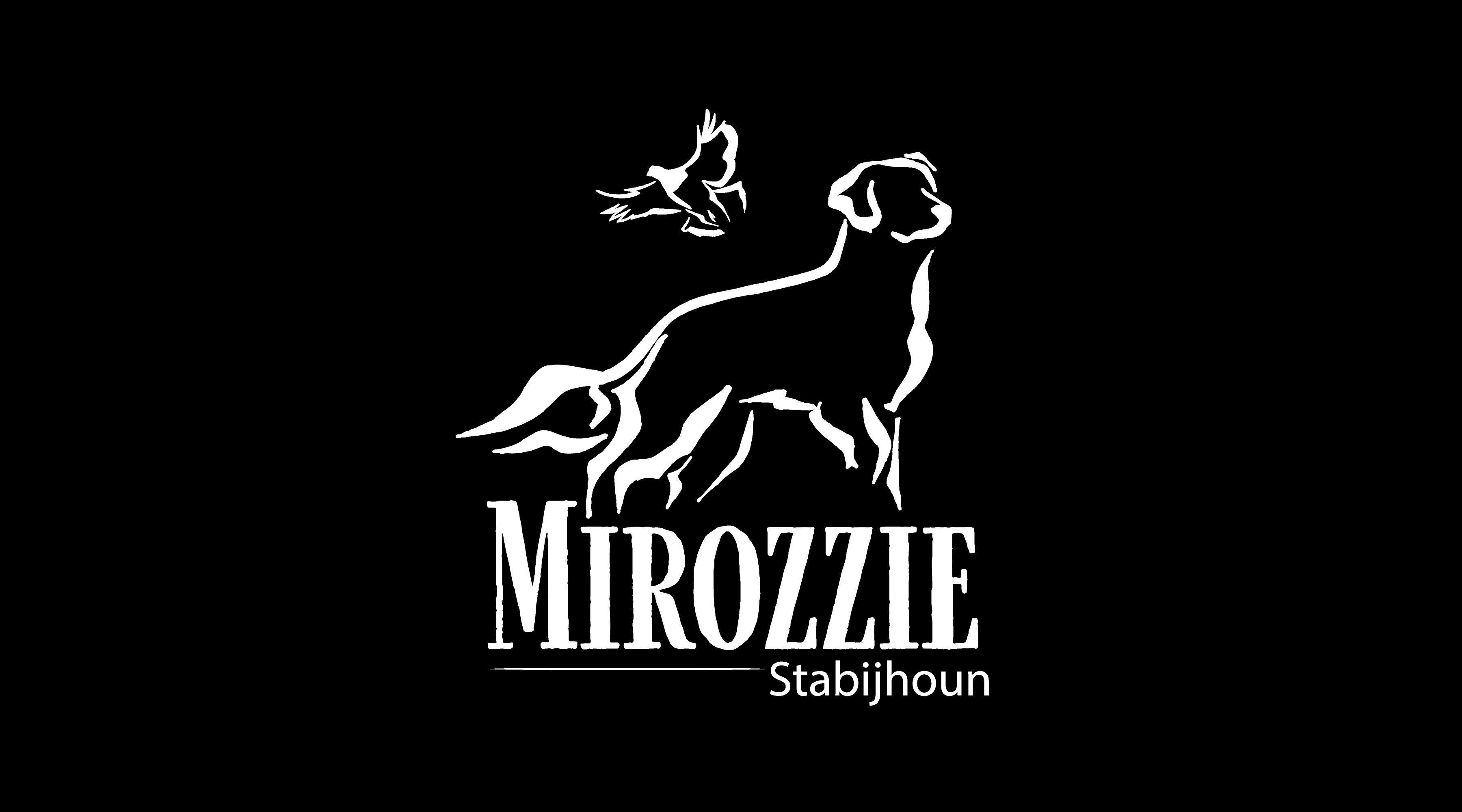 Mirozzie